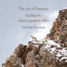 THE ART OF PATIENCE by Sylvain Tesson, Frank Wynne [Trans.], read by David Pittu